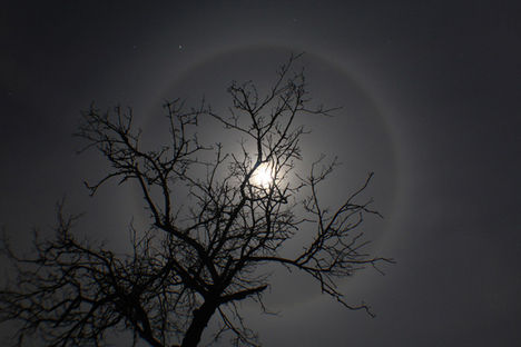 22 fok sugarú halo a Hold körül 2010. január 25-én, Kaposfőről fotózva.