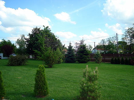 DSC08255