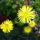 Dsc08259_717662_22151_t