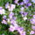 Dsc08260_717663_99562_t