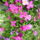 Dsc08261_717664_31336_t