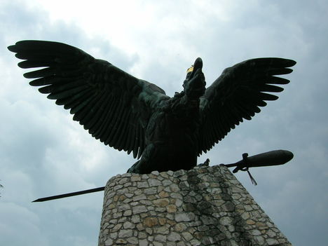 DSCN2995