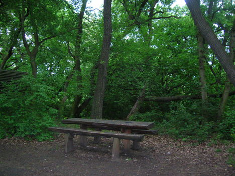 DSCN3011
