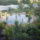 Kerti_tavam_0514en_717646_61091_t