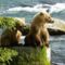 Katmai_Nemzeti_Park,_Alaszka