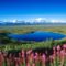 Tó_a_tundrán,_Mount_McKinley,_Denali_National_Park,_Alaszka
