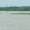 Az áradó Cuhai-Bakonyér (+belvíz) Bőnynél 2010.05.18. 30