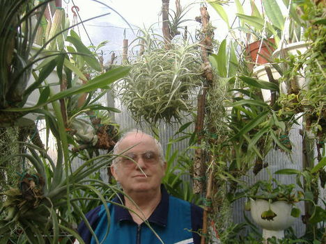 Király Béla Orchideái 2