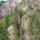 Transzfogarasi_deli_oldalan_jartunk__onnann_jottunk_le_725300_46682_t