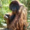 borneoi_orangutan_01