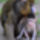 Kismandrill02_foto_bagosi_zoltan_702471_22223_t