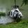 P1000871_72052_159550_t