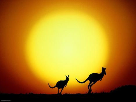 The Kangaroo Hop, Australia