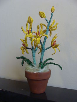 (31)Orchidea