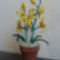 (31)Orchidea