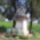 Itt_kanyarodik_az_ut_halesz_fele_732970_40997_t