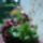 P10202591_733933_77628_t