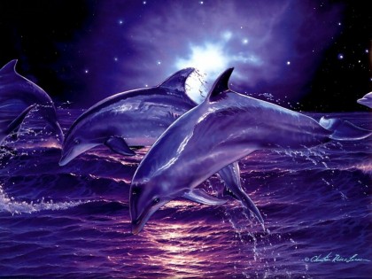 delfinek 1