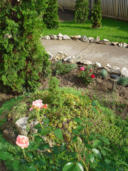 2010 májusi kertünk 11