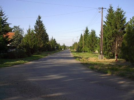 Szent István utca 2006