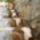 Heads_744583_81087_t