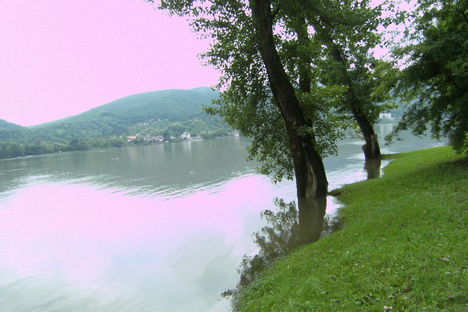 Árad a Duna Pilismarótnál