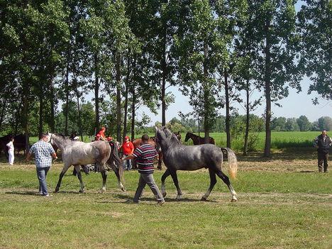 DSC02400