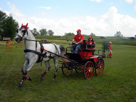 DSC02424