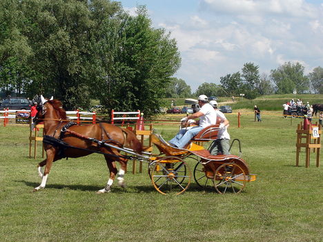 DSC02431