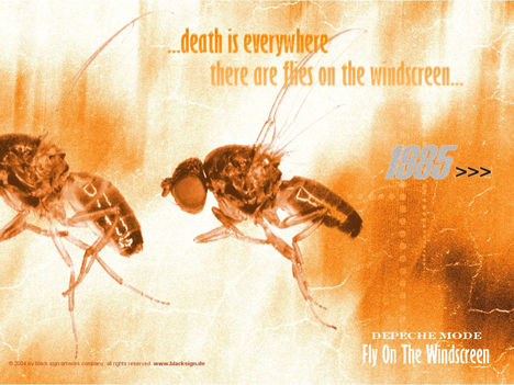 Depeche_Mode_-_Fly_On_The_Windscreen_2_Wallpaper