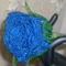 (27)kék rózsa
