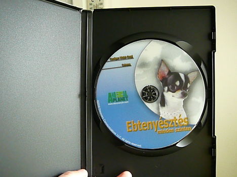 DVD-3