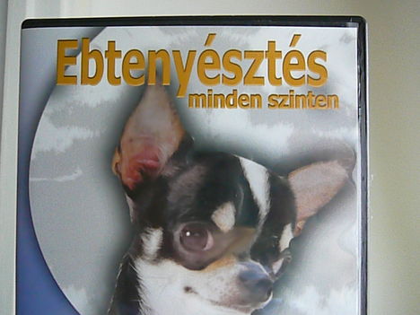 DVD-6