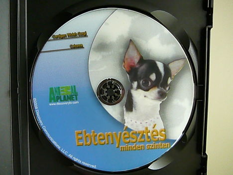 DVD