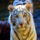 Tigers_1_751570_74719_t