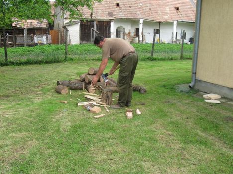 Gyereknap-Falunap 2010 - Canon 5