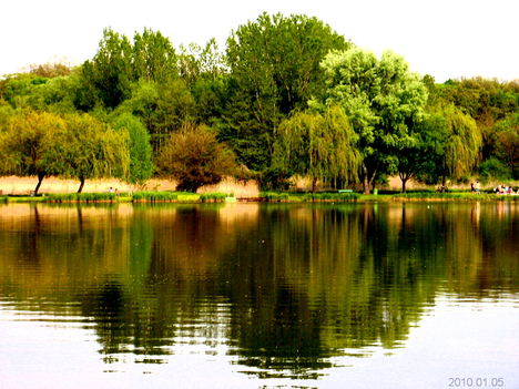 Majki tó