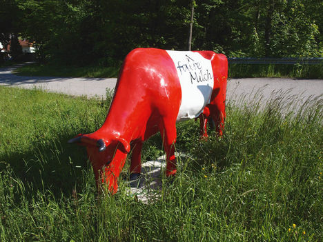 piros-fehér-piros tehén