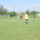 Ix_duna_kupa_5_755093_58097_t
