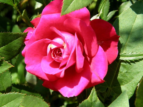 P8100010