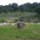 Cimg0084_757411_45079_t