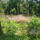 Cimg0102_757369_54337_t