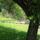 Cimg0103_757368_90999_t