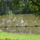Cimg0104_757367_39740_t