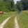Cimg0108_757364_45101_t