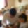 Ib_p026_0_27_757843_55265_t