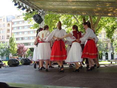 Belvárosi Fesztivál (2010.05.28.) - 20