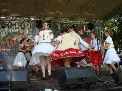 Belvárosi Fesztivál (2010.05.28.) - 30