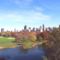 CENTRAL PARK 10