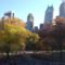 CENTRAL PARK 13